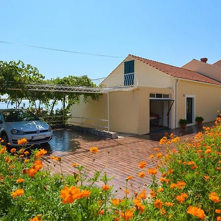 Апартаменты Ani