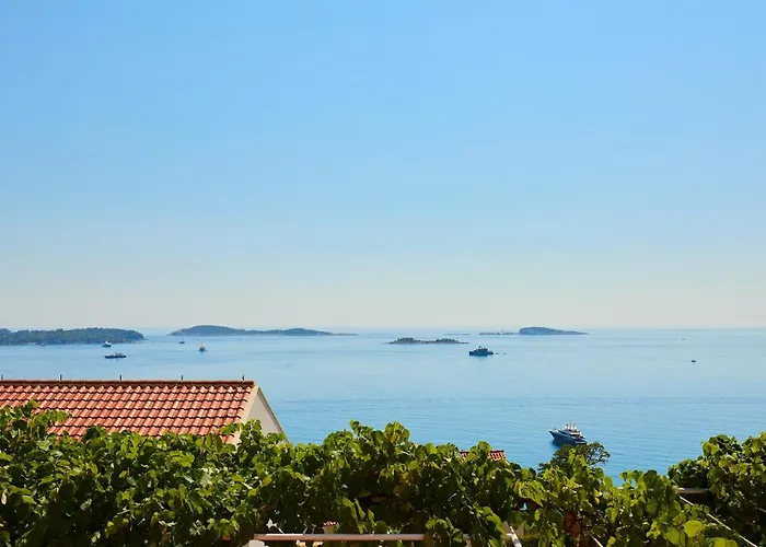 Ani *