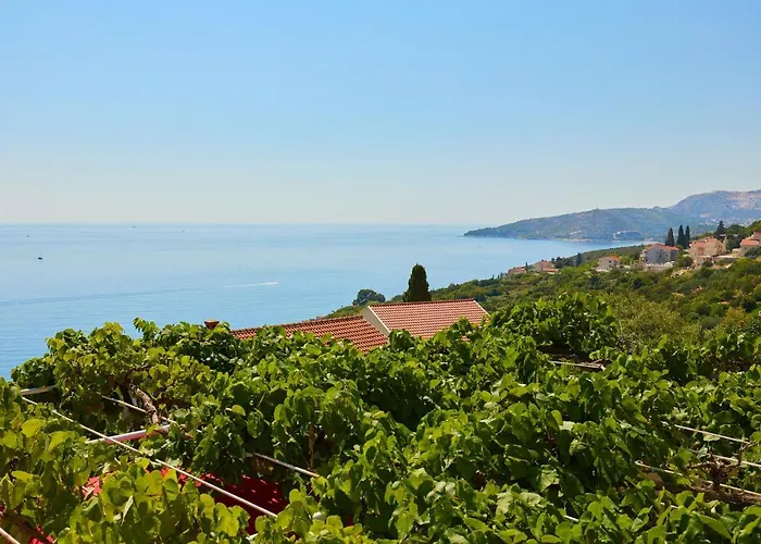 Ani Apartament *